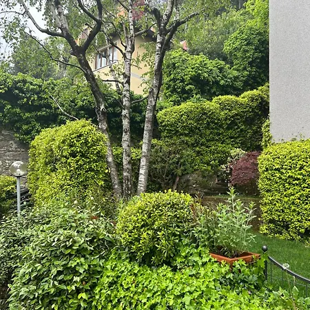 Esclusivo Con Giardino A Due Passi Dal Centro *